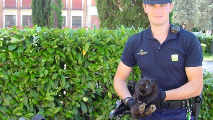 L'agente di polizia municipale di Thiene che ha trovato il coniglio al parco Aldo Moro
