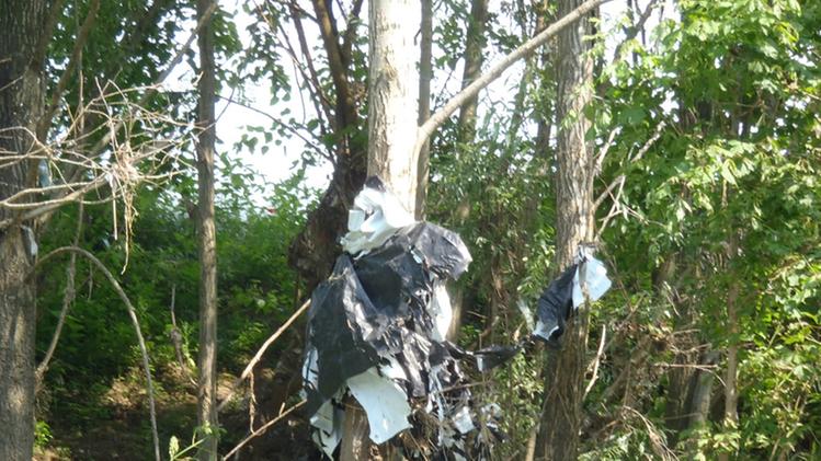 Una foto dei rifiuti presenti nel Bacchiglione fotografati da un nostro lettore