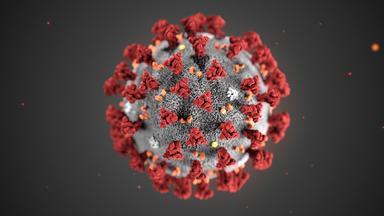 Coronavirus, come agisce e come prevenire