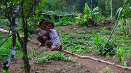 Un'immagine scattata durante il viaggio nei villaggi attorno a Kupang e Timor est