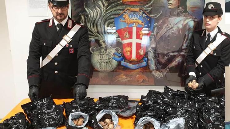 I sacchetti di papavero da oppio sequestrati dai carabinieri
