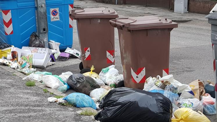 Vicenza, rifiuti abbandonati
