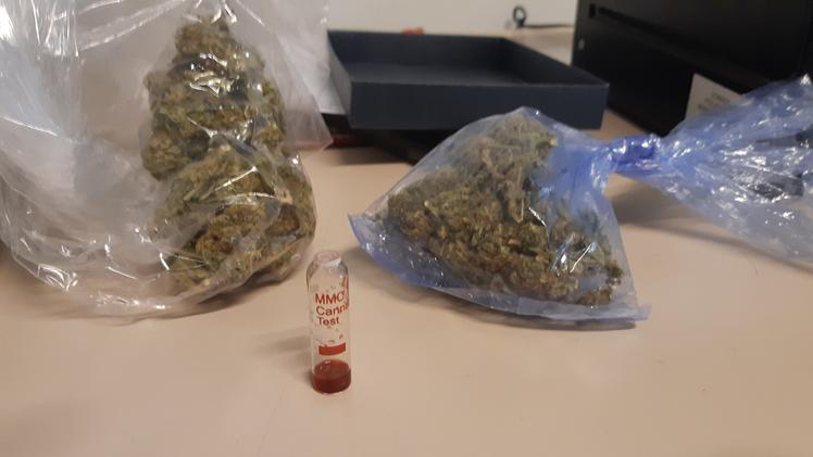 La droga sequestrata dalla polizia locale di Thiene
