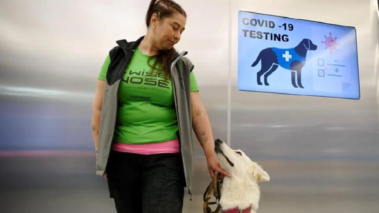 Un cane anti-Covid all'aeroporto di Helsinki.