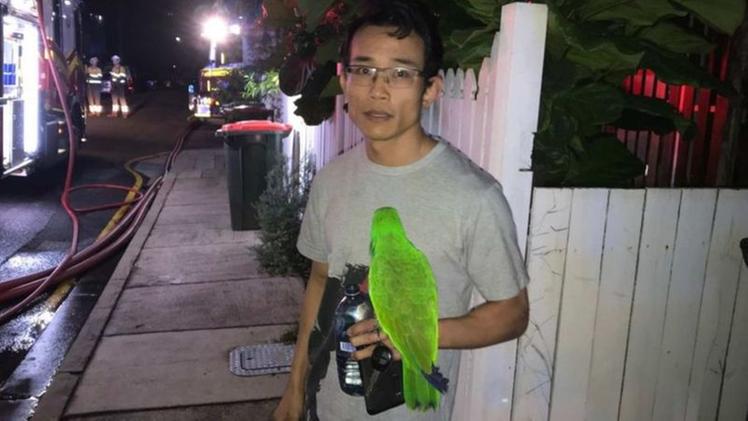 Anton Nguyen con il suo pappagallo che lo ha salvato (Foto Bbc online)