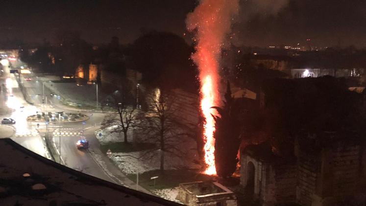 L'albero incendiato ieri sera in via Mazzini, davanti alla Rocchetta delle mura storiche