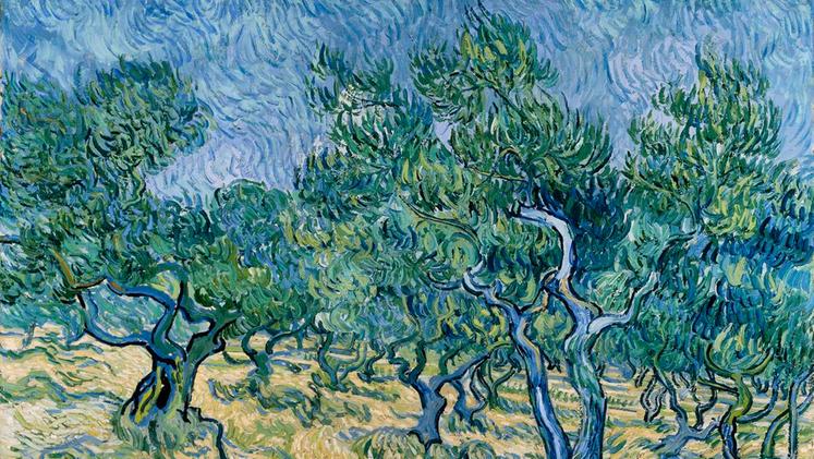 Vincent Van Gogh, "Uliveto", 1889