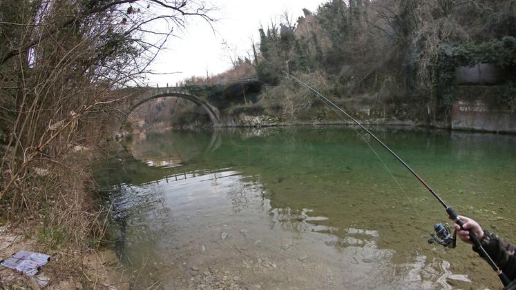 Ponte Pilo sull'Astico, dov'è stato trovato il cadavere. STUDIO STELLA