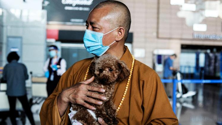 Zhi Xiang, monaco buddista di Shanghai che che dona ai cani randagi una nuova speranza di vita