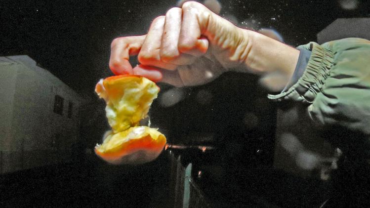 Uno studente di 16 anni è stato multato per aver gettato un torsolo di mela nel fossato (FotostudioStella)