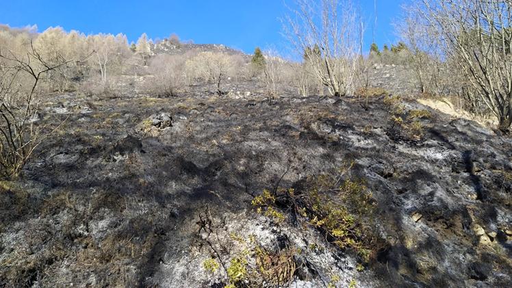 I danni dei recenti incendi sull'Altopiano del Tretto (foto gruppo Facebook Altopiano del Tretto)
