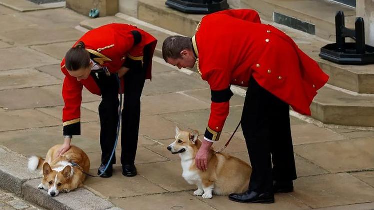 I corgi della regina Elisabetta II, Muick e Sandy, aspettano l'arrivo del feretro della padrona al castello di Windsor