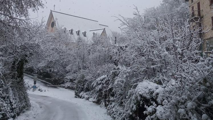 La nevicata di giovedì 19 gennaio sui Colli Berici, a San Giovanni in Monte (foto lettrice Michela)