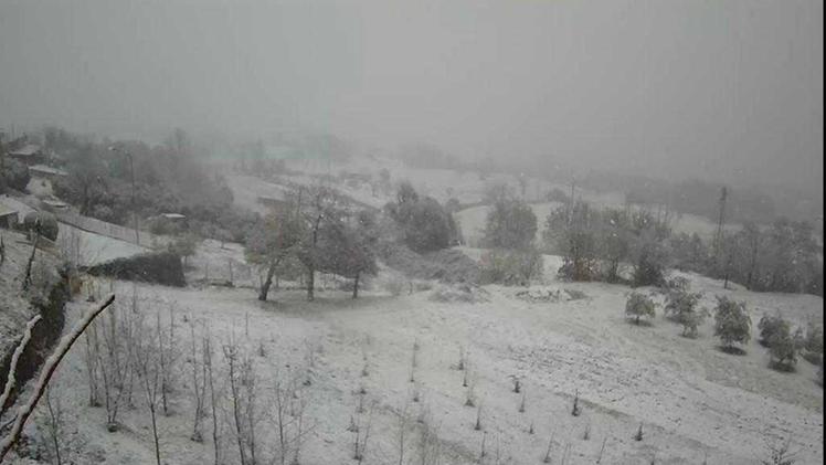 La neve potrebbe riaffacciarsi nelle zone collinari ARCHIVIO/CAROLLO