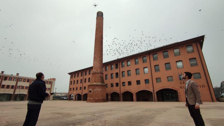 Il drone allontana centinaia di piccioni BILLO