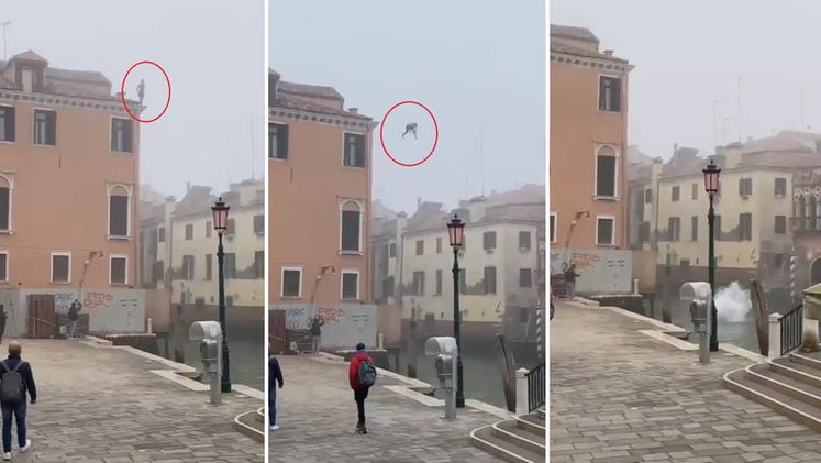 Alcuni frame del video che immortala il tuffo da un palazzo a Venezia
